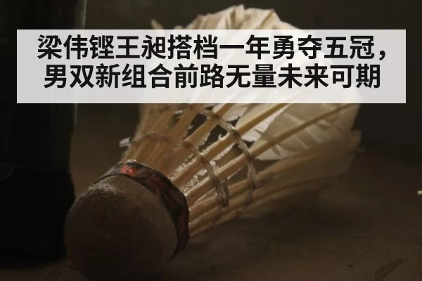 梁伟铿王昶搭档一年勇夺五冠,男双新组合前路无量未来可期