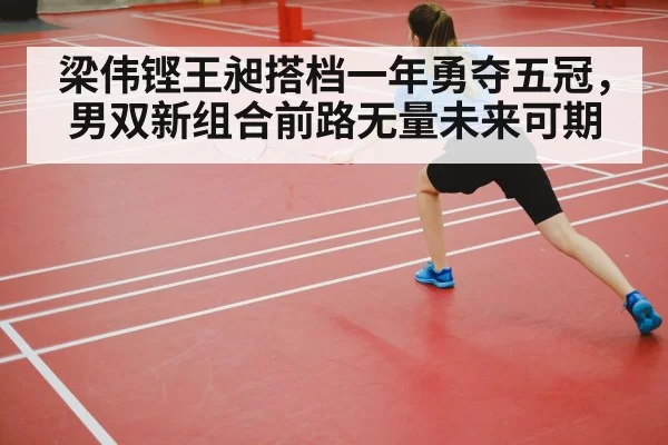 badminton court competition